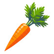 © Dagger505 - a realistic carrot in flat color block vector illustration style good for cartoon, animation graphics