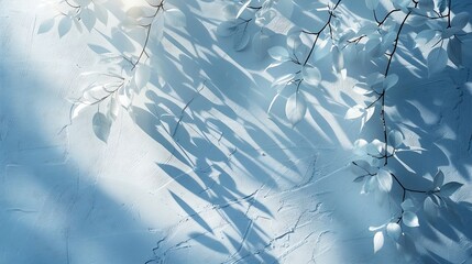 Poster - Minimalistic abstract gentle light blue background for product presentation with light and intricate shadow from tree branches on wall : Generative AI