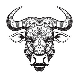 Poster - Cow head sketch hand drawn engraving style Vector illustration