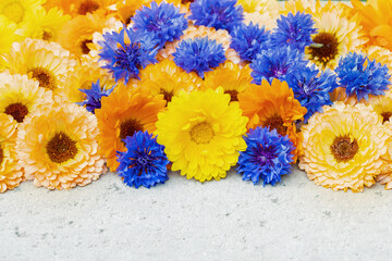 Wall Mural - mix of different pot-marigold blossoms in orange and yellow color tones and cornflower blosssoms on 