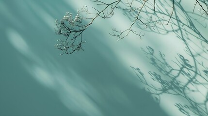 Poster - Minimalistic abstract gentle light blue background for product presentation with light and intricate shadow from tree branches on wall : Generative AI