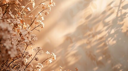 Aufkleber - Warmtoned floral shadows on the walls in the house for a minimalist style background : Generative AI