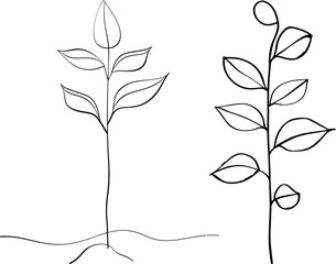 Line drawing of leaves on white background. Plant branch one line art.