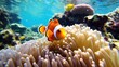 © adobe - Clownfish In Its Anemone Home