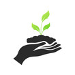 © Svitlana - Plant Icon. Hand holds the plant. Silhouette and flat styles. Vector icon.