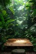 © Sunshine - Tranquil Wooden Platform Surrounded by Lush Green Tropical Foliage in Sunlit Jungle Setting