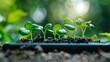 © Palung - Plants emerging from the smartphone screen. Ecology concept. Digital smart farming concept. Sustainable development goals (SDGs) concept