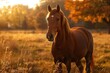 © AIGen - Horse On Ranch. Amazing Autumn Evening with Beautiful Horses Grazing on Pasture