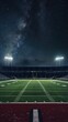 © Oksana - Floodlit football field in stadium under night sky