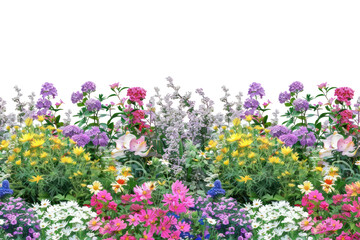 Wall Mural - PNG Colorful vibrant floral garden illustration