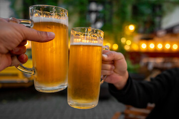 Wall Mural - Two hands raise beer glasses in a toast against a blurred garden party background