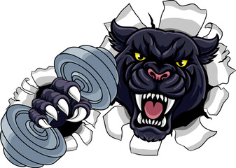 Sticker - A panther jaguar leopard weight lifting gym animal sports mascot holding a dumbbell weight in his claw