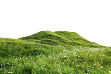 Poster - PNG  Lush green rolling hills