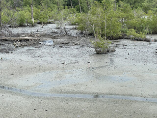 Sticker - dirty mud in the forest.