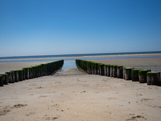 Strand duinen Nederland