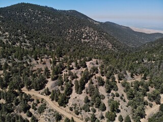 Drone Photo of California Mountains and Forests