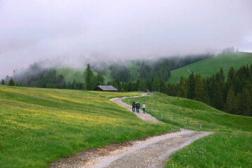 Scenic panoramic view of Dolomites mountains in the fog. Tourists walk along the trail, hiking. Scenery at Alpe di Siusi in spring, autumn. South Tyrol, northern Italy, Alto Adige. Nature, concept