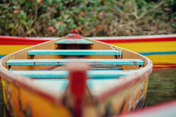 carousel in the park