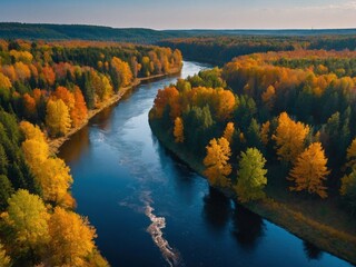 Wall Mural - A scenic view of a river surrounded by autumn forest wood covered in vibrant red, yellow, orange and green leaves. Fall season nature landscape photo illustration wallpaper. 