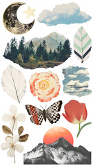 Canvas Print - PNG nature collage element set, transparent background