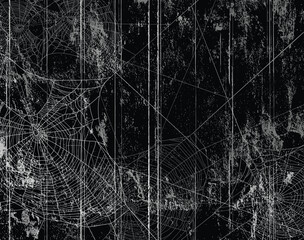 Wall Mural - shabby black wall of wooden planks covered with spooky spider web - halloween theme haunted attic co
