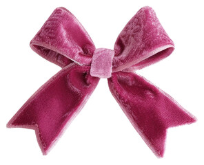 Poster - PNG Elegant pink velvet bow