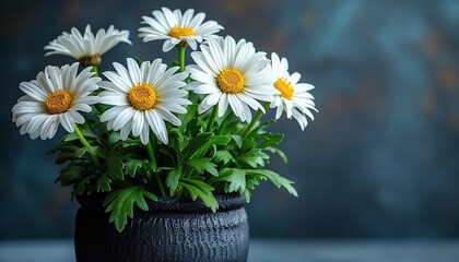 Wall Mural - bouquet of daisies