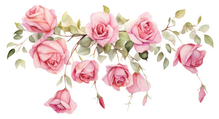 Poster - PNG  Delicate watercolor pink roses illustration