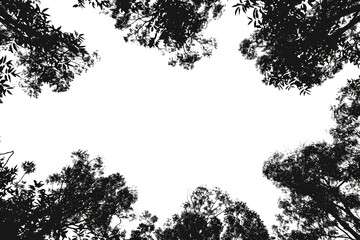 Sticker - PNG Silhouette trees against white sky