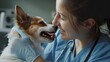 © drizzlingstarsstudio - a smiling veterinarian, dressed in blue scrubs, engaging affectionately with a tiny dog post-treatment