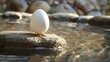 © Aphisit - Chicken egg with a soft, gently rippling pond