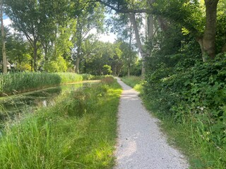 Poster - Picturesque view of river, trees and pathway