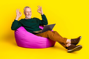 Poster - Full size photo of nice senior man sit bean bag netbook show okey dressed stylish green clothes isolated on yellow color background