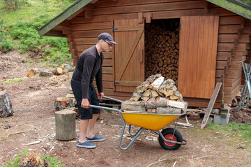 Wall Mural - Man driving a wheelbarrow and wearing black clothes in the forest of Finland near the firewood storage. Preparing firewood for the winter to heat the house