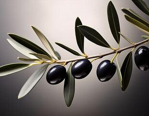 Canvas Print - A branch with black olives