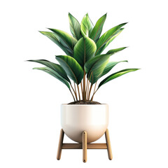 A vibrant indoor plant displayed in a stylish pot, perfect for enhancing home decor and bringing a touch of nature inside.