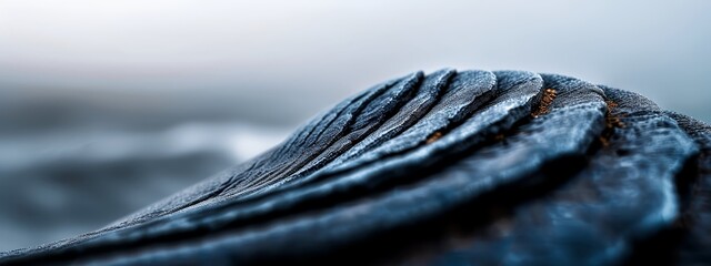  A tight shot of a bird's wing in reverse, with a hazy sky behind