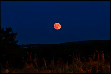 Sticker - moon in the night