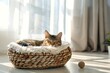© Linett - A cat resting in a woven basket bed on the floor. Generative AI.