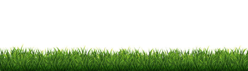 Wall Mural - Green Grass Border Isolated White Background