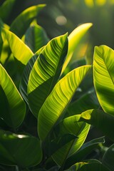 Sticker - Green Leaves Close Up in the Sunlight