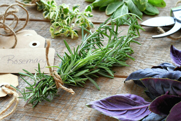 Herb bundles tied with twine on wood background - rosemary sage marjoram blue basil