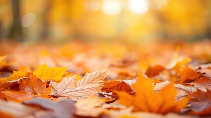 Aufkleber - A pile of yellow leaves on the ground. The leaves are scattered and some are larger than others. The leaves are in various stages of falling, some are still attached to the tree