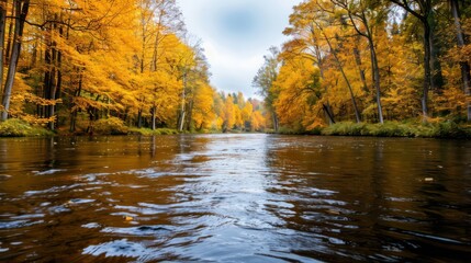 Aufkleber - A river with trees on either side. The water is calm and clear. The trees are in full autumn color