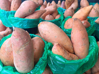 Wall Mural - Buckets full of Sweet potatoes displayed for sale