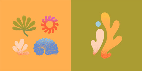 Wall Mural - vector set of abstract summer nature elements.hand drawn palm,sun,coral,seashell.modern graphic in n
