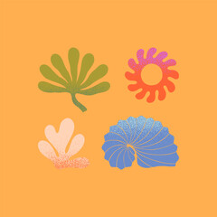 Wall Mural - vector set of abstract summer nature elements.hand drawn palm,sun,coral,seashell.modern graphic in n
