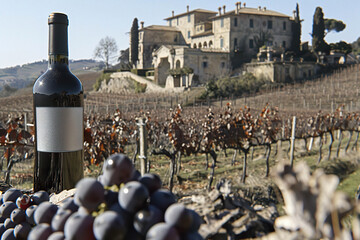 A bottle of red wine with a traditional label sits among ripe grapes in a vineyard with a villa in the background. Generated by AI.