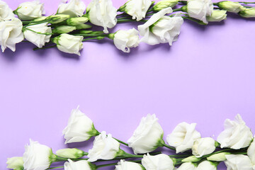 Wall Mural - Composition with white eustoma flowers on lilac background, closeup