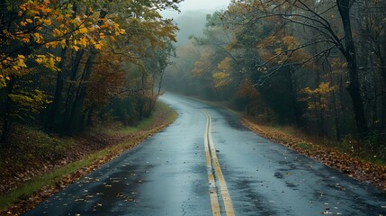 Sticker - a wet road with a yellow line